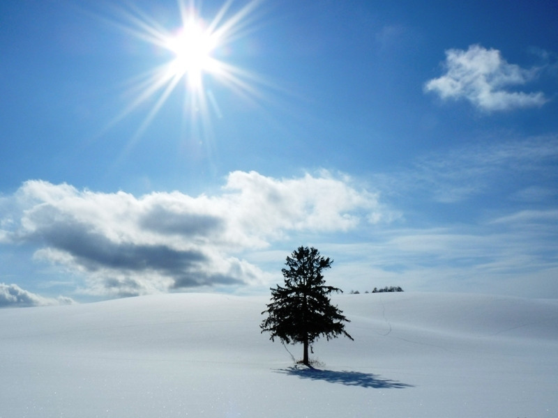 新富良野プリンスホテル/北海道3917363