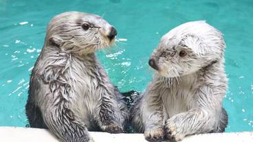 観光スポット / 7