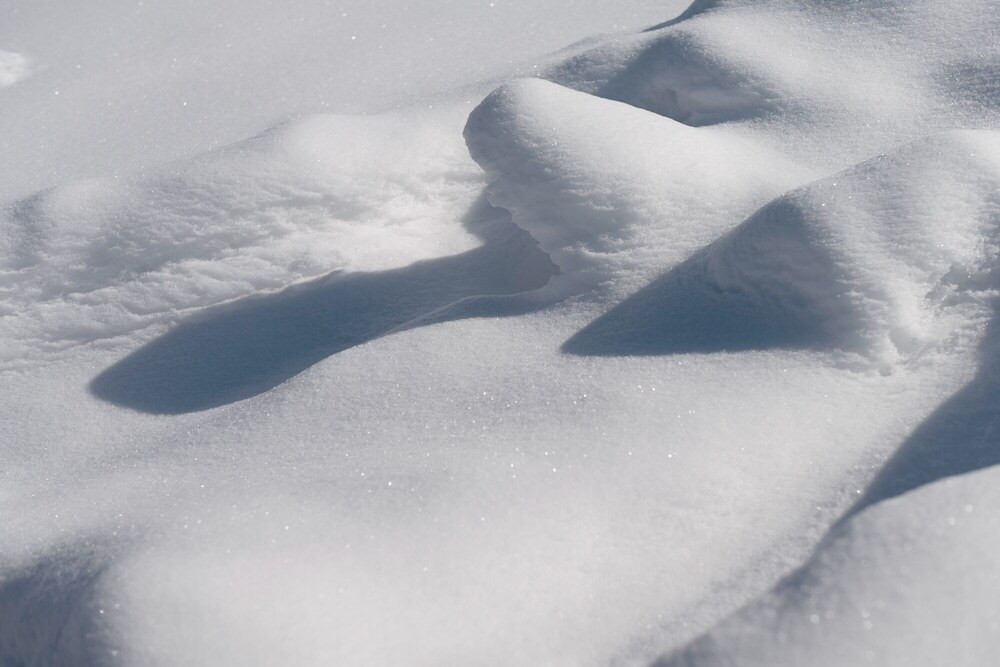 施設からの眺望