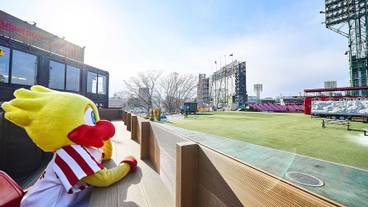 テラス / パティオ / 4