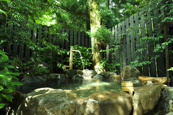 2. 鳥遊ぶ森の宿　ふたり静3966975