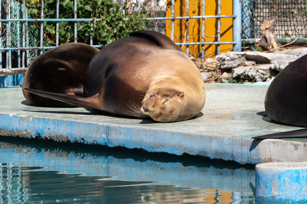 ゆったり一人旅におすすめのスポット3701641