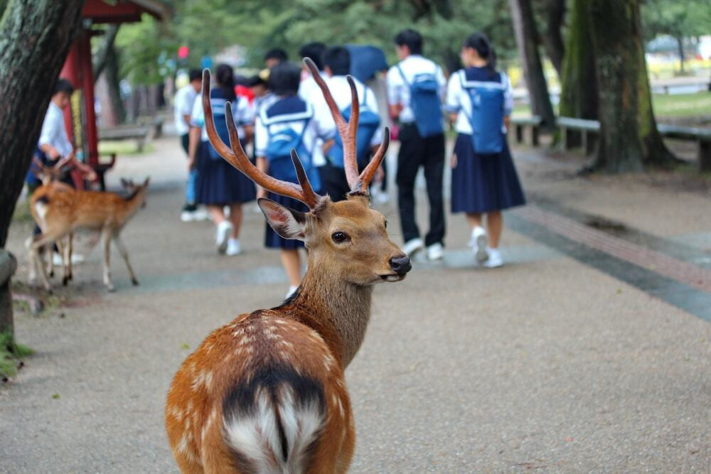 ランド ビュー