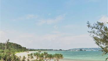 ビーチ / オーシャン ビュー / 13