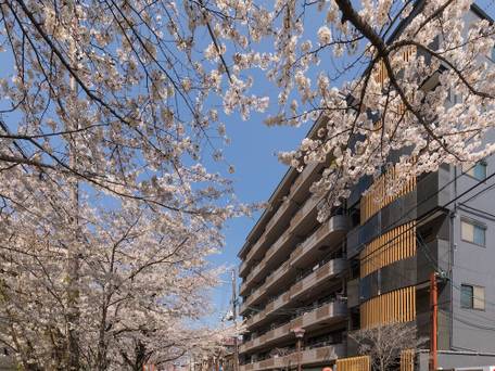 京都リバービューハウス京楽 / 3