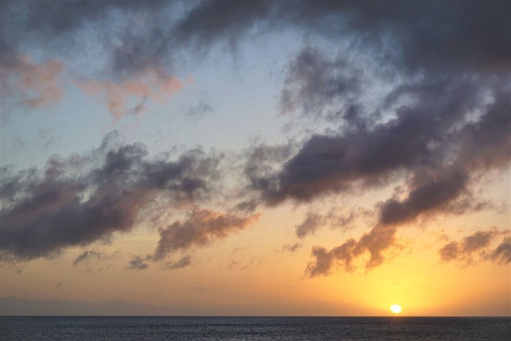 施設からの眺望