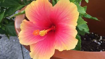 施設からの眺望 / 25