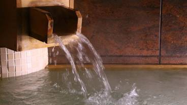 屋内スパ浴槽 / 1