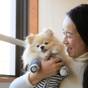 愛犬と一緒∪・ω・∪【スタンダード会席】火山が育てた地産食材を味わう<★スタンダード/部屋食> | ゆとりろ洞爺湖