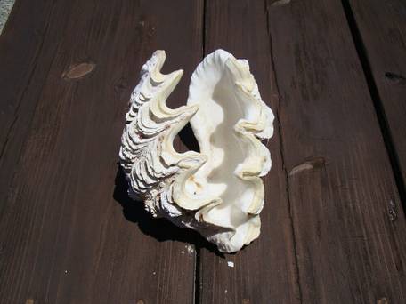 Resort life kabira（石垣島） / 4