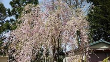 施設の敷地 / 17