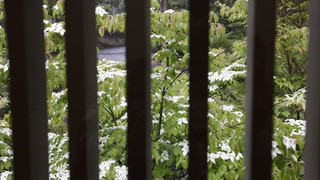 渓谷側　眺めの良い和室