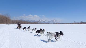 スノー スポーツとスキー / 2