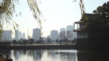 施設の敷地 / 15