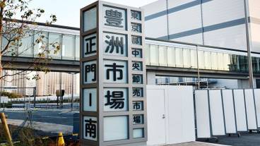 シティ ビュー / 34