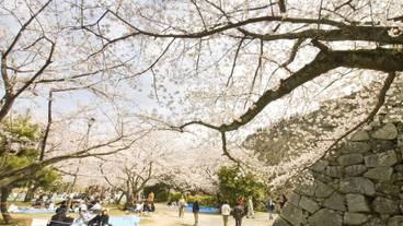 観光スポット / 15