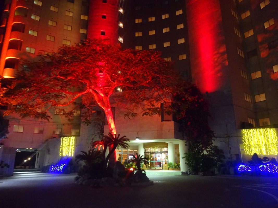 夜はライトアップ