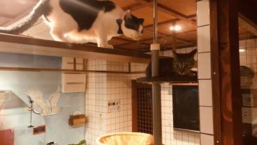 部屋からの景観 / 15