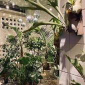 LESTEL NAHA（沖縄県 ゲストハウス・ホステル・ドミトリー） / 4