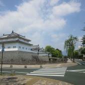 マイホテル 竜宮(静岡県 ビジネスホテル) / 3