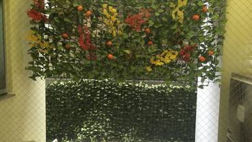 施設内の設備 / 13