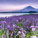 旅のキッカケになる「絶景カタログ」19枚！富士山や日本アルプスが美しい【甲信越編】