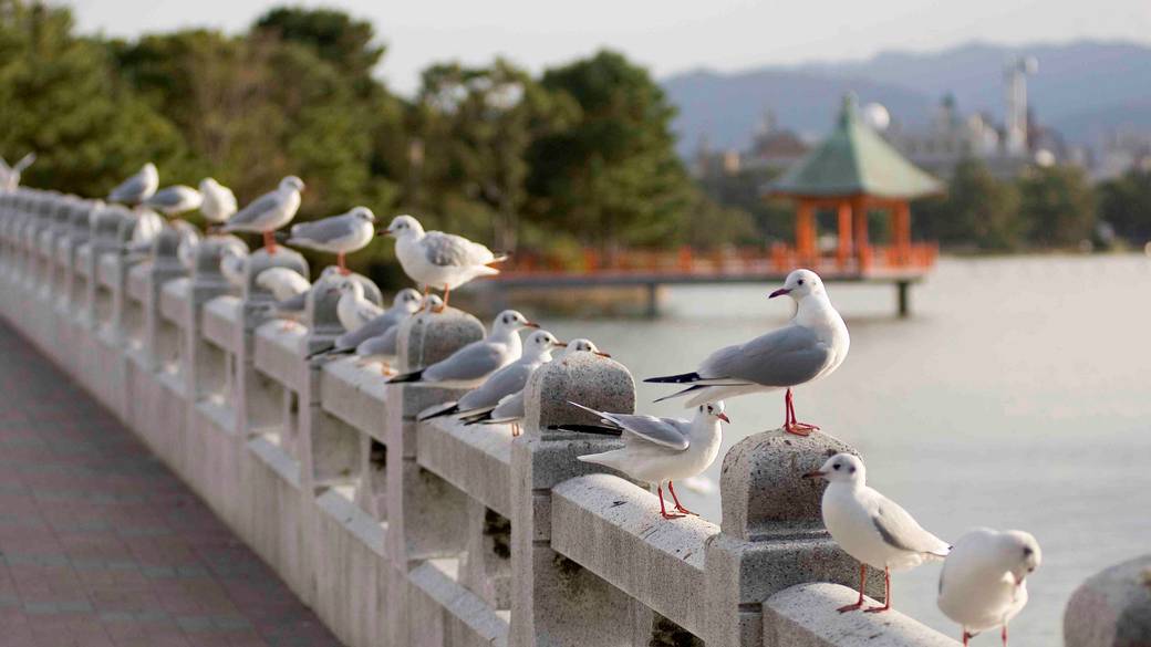 大濠公園 / 5