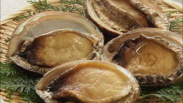 Hime Abalone * Image photo / 26