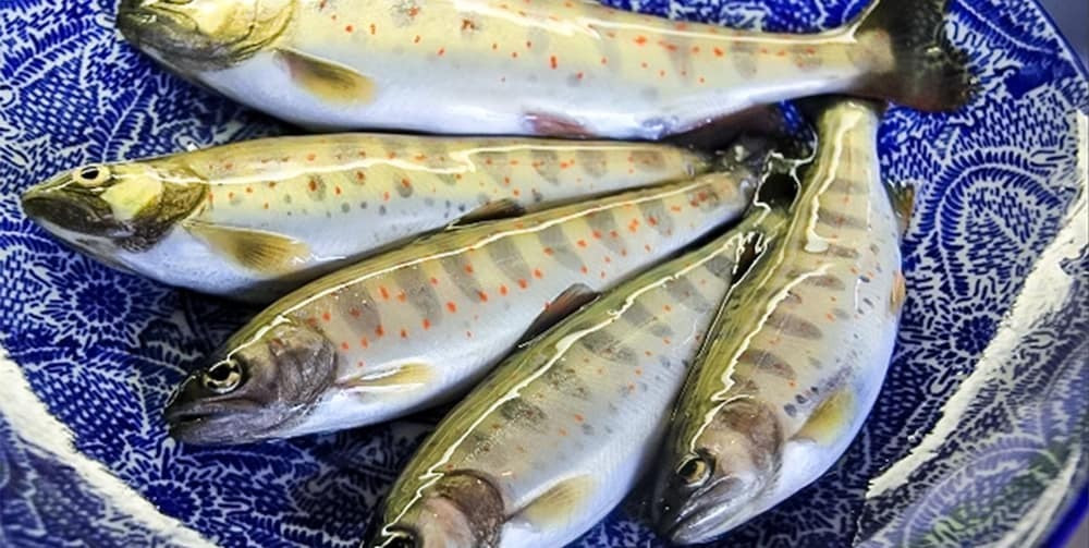 旅館のお食事処