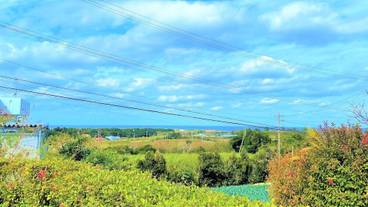 部屋からの景観 / 15