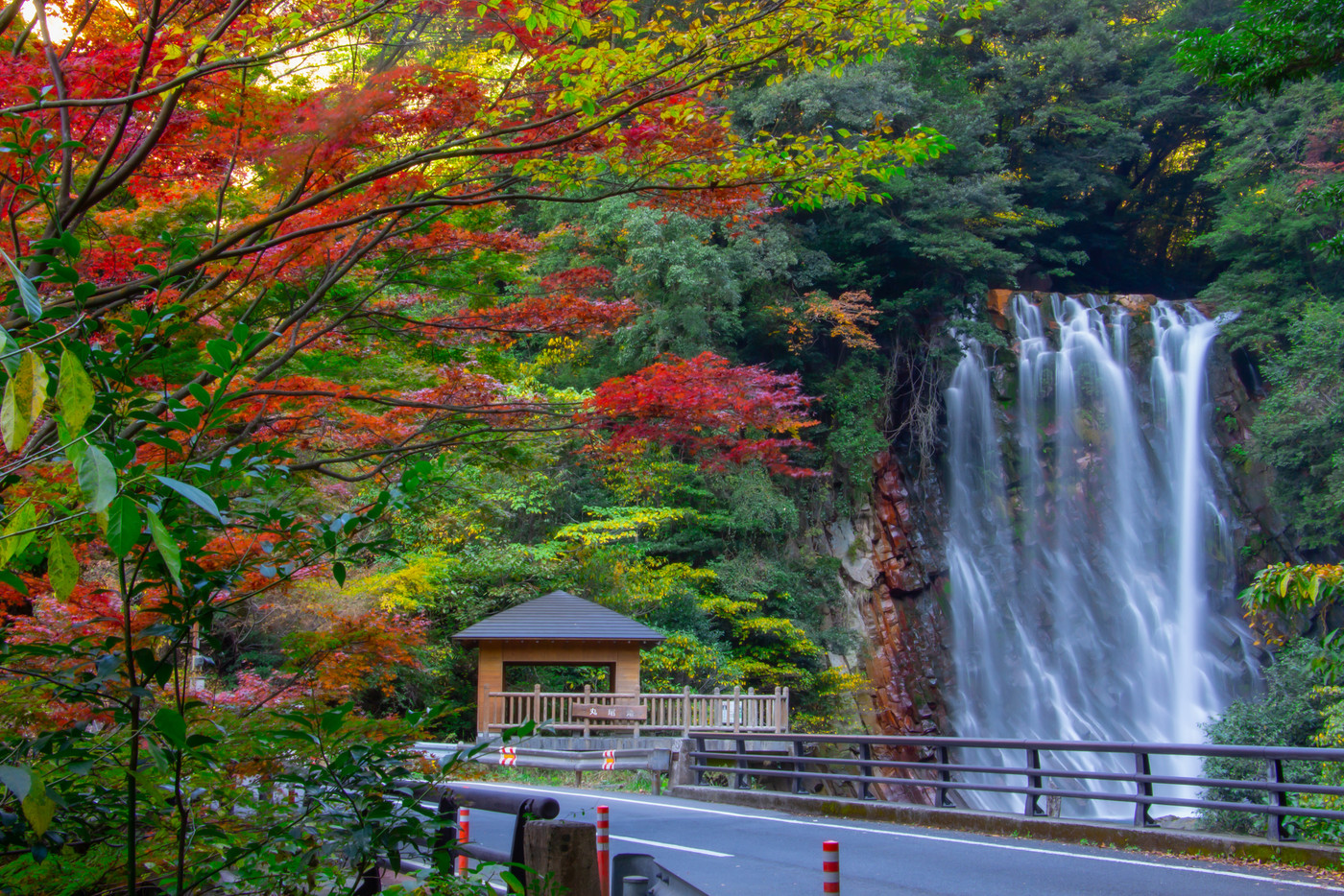 鹿児島県　霧島市の紅葉　行楽シーズン