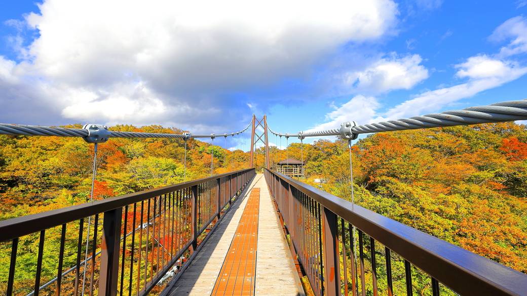 つつじ吊橋 紅葉 / 2