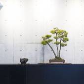 鉛温泉 藤三旅館 別邸 心の刻 十三月（岩手県 旅館） / 2