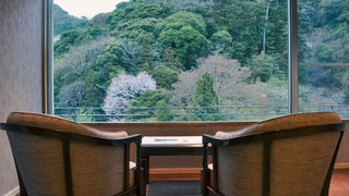 トラディショナル ルーム 1 ベッドルーム 専用バスルーム マウンテンビュー (can't serve dinner after 8 PM checkin)