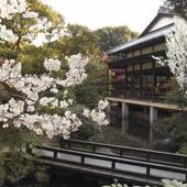 鶴巻温泉 元湯 陣屋(神奈川県 旅館) / 4