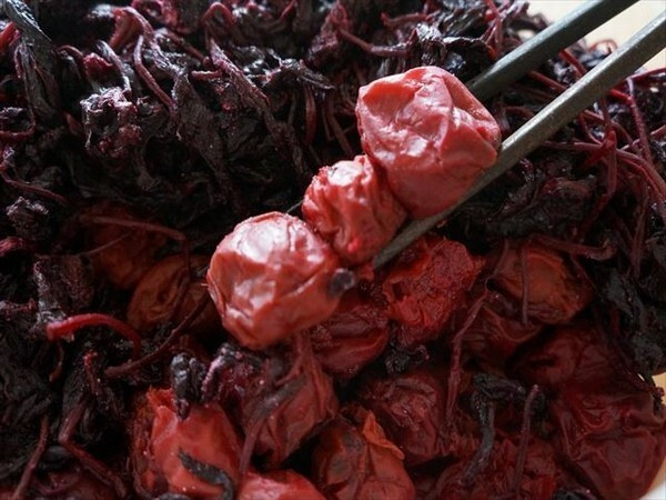 手作りの梅干し