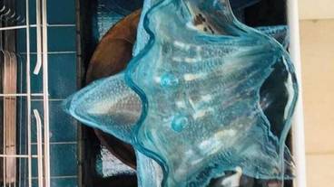 客室の設備とサービス / 23