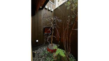 ガーデン ビュー / 6