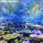 【ファミリー】名古屋港水族館入館券付き宿泊プラン　ご朝食付 | 名古屋東急ホテル