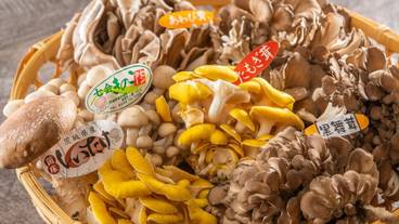 ビュッフェ / 22