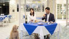 海を望む ペットと泊まれる宿 Wan's Resort（ワンズリゾート）城ヶ崎海岸