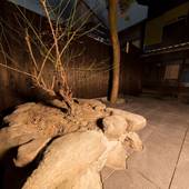 京町家宿 染 SEN 東寺・魚美津（京都府 町家） / 2