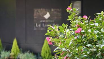 施設の敷地 / 26