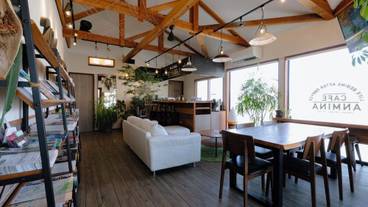 リビング エリア / 12