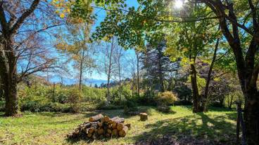 ガーデン ビュー / 15