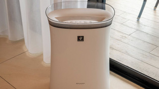 オーシャンビューテラス デラックス B