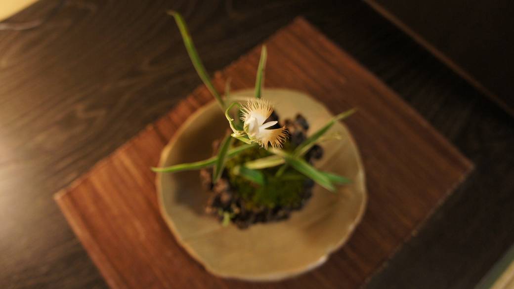 季節の花々② / 4