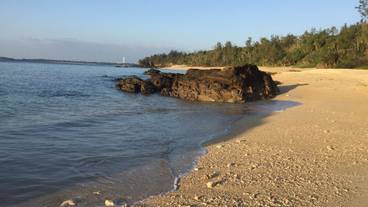 シティ ビュー / 14