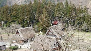 観光スポット / 18