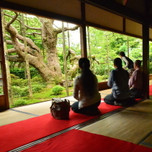 京都の庭園でまったり♪お抹茶がいただけるお寺7選